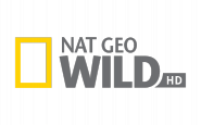 Nat Geo Wild HD